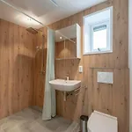 Duinland 146 For 4 Guests With Garden