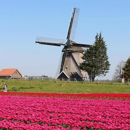 With Fabulous Garden Holiday home Sint Maartensvlotbrug