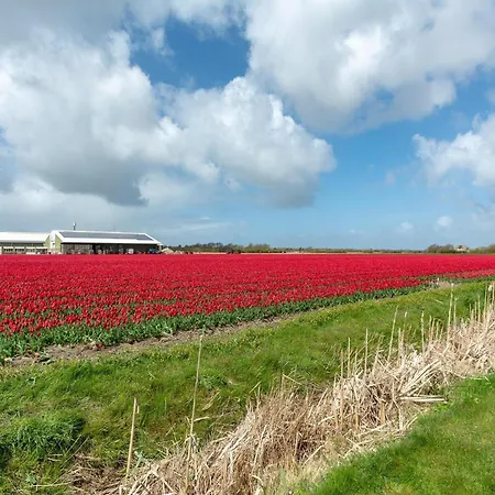 Holiday home With Fabulous Garden Sint Maartensvlotbrug